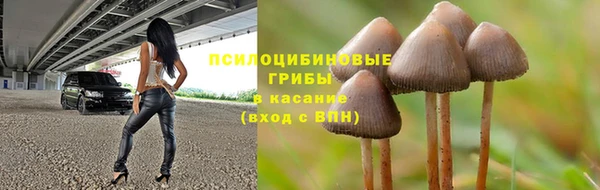 гашик Абинск