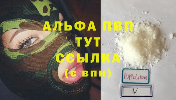 гашик Абинск