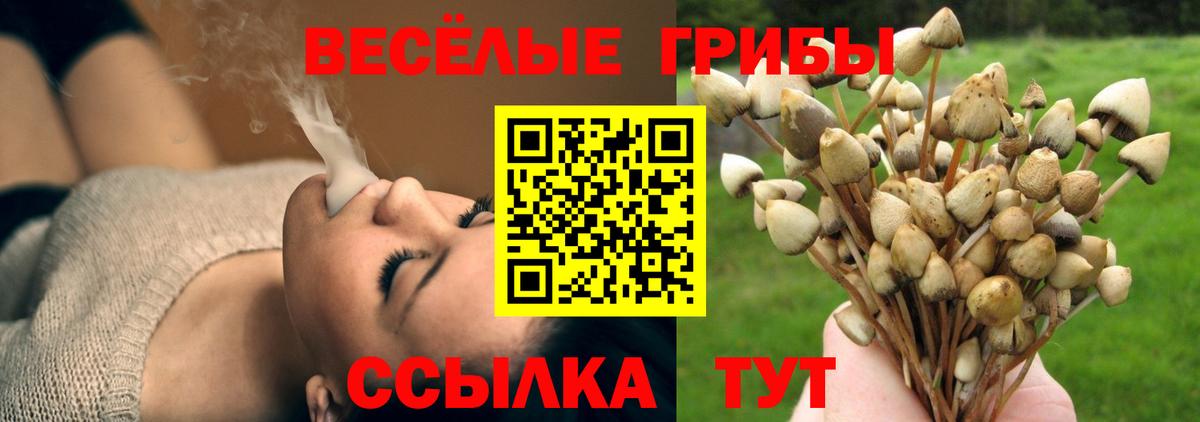 Галлюциногенные грибы прущие грибы Истра